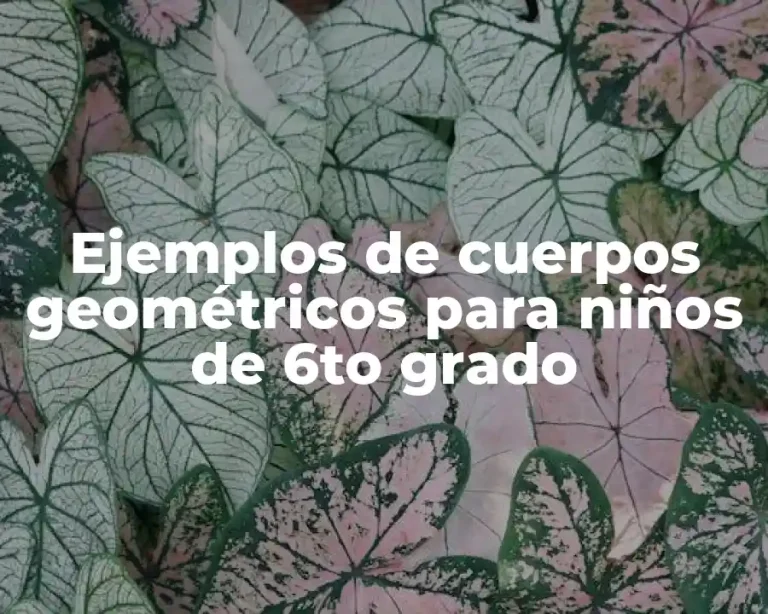 Ejemplos de cuerpos geométricos para niños de 6to grado