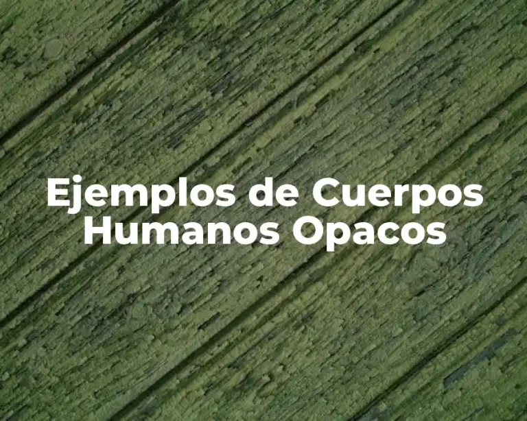 Ejemplos de Cuerpos Humanos Opacos