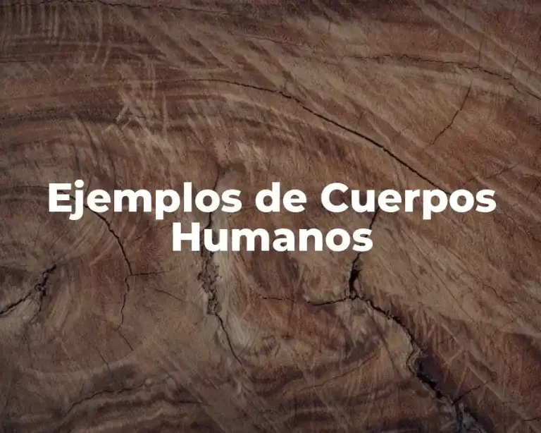 Ejemplos de Cuerpos Humanos