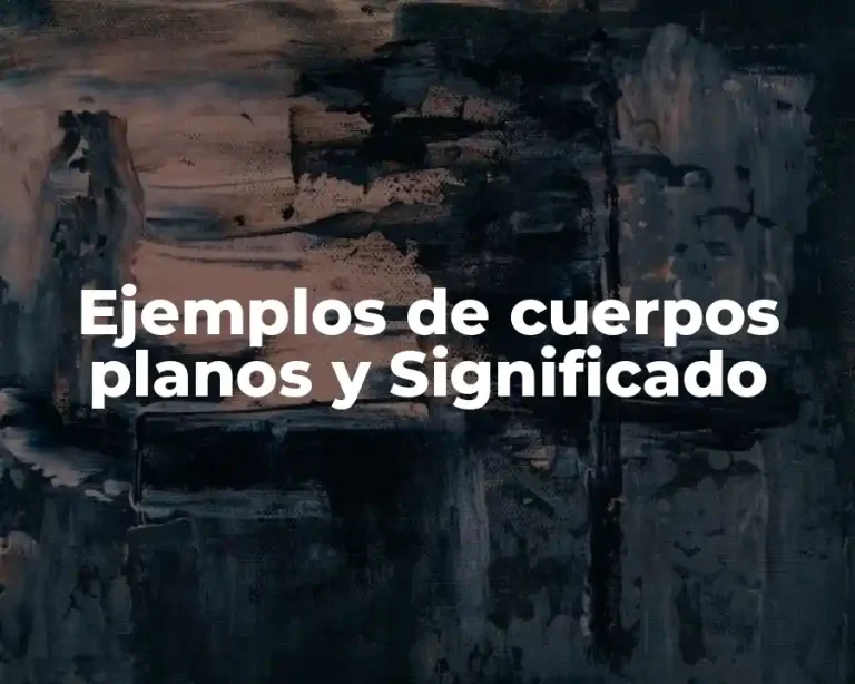 Ejemplos de cuerpos planos y Significado