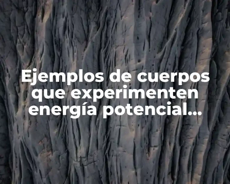 Ejemplos de cuerpos que experimenten energía potencial gravitacional