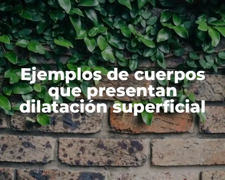 Ejemplos de cuerpos que presentan dilatación superficial