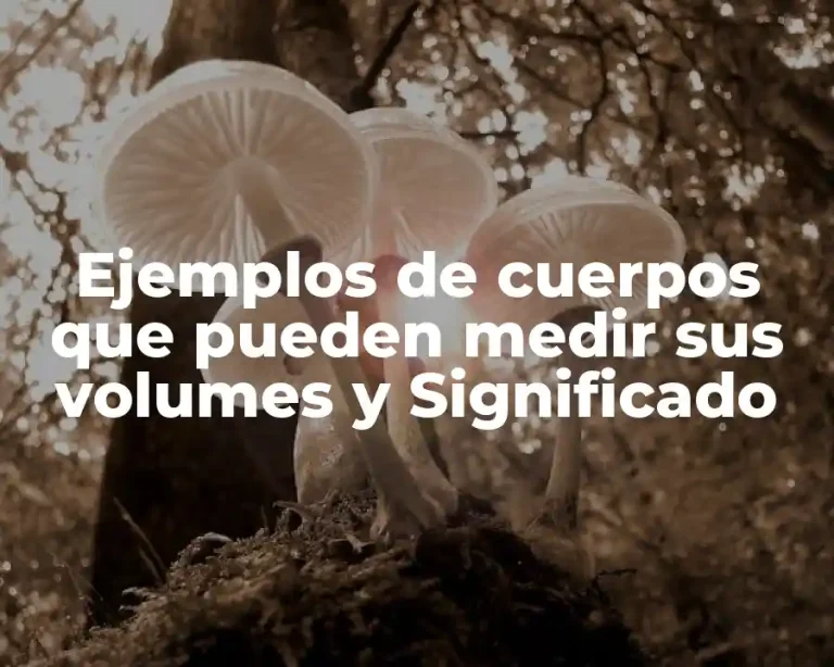 Ejemplos de cuerpos que pueden medir sus volumes y Significado