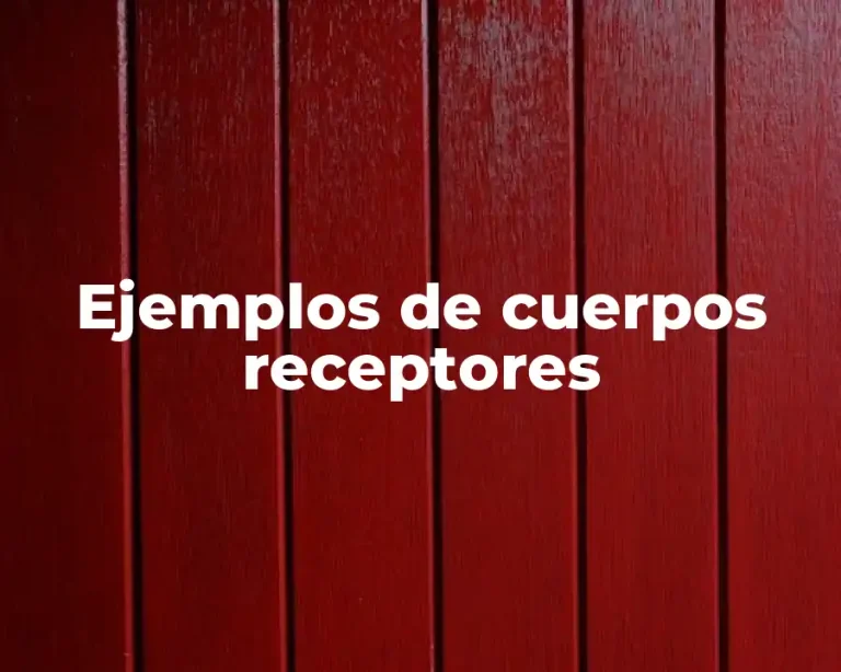 Ejemplos de cuerpos receptores
