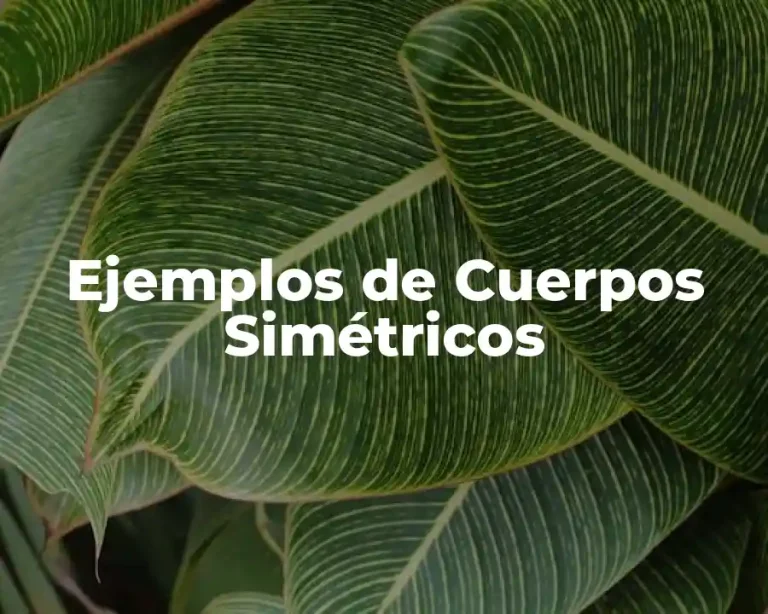 Ejemplos de Cuerpos Simétricos