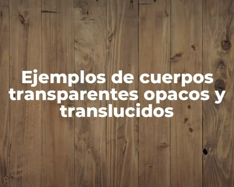 Ejemplos de cuerpos transparentes opacos y translucidos