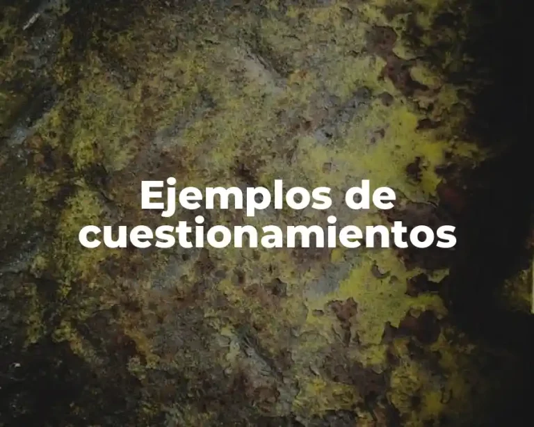 Ejemplos de cuestionamientos