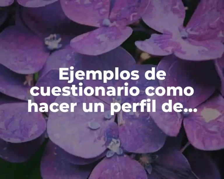 Ejemplos de cuestionario como hacer un perfil de encuestado
