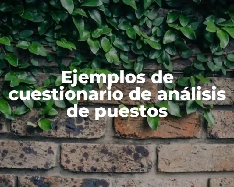 Ejemplos de cuestionario de análisis de puestos
