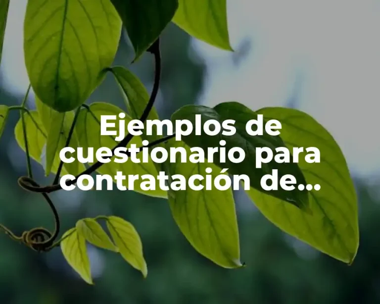 Ejemplos de cuestionario para contratación de agentes de ventas en México