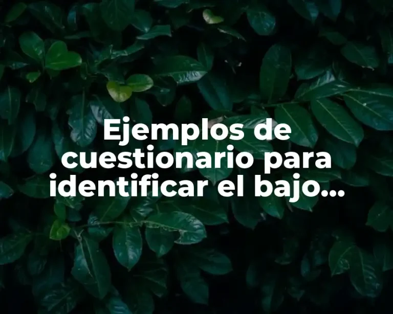 Ejemplos de cuestionario para identificar el bajo aprovechamiento y Significado