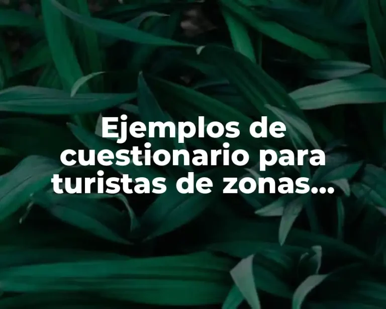 Ejemplos de cuestionario para turistas de zonas arqueologicas