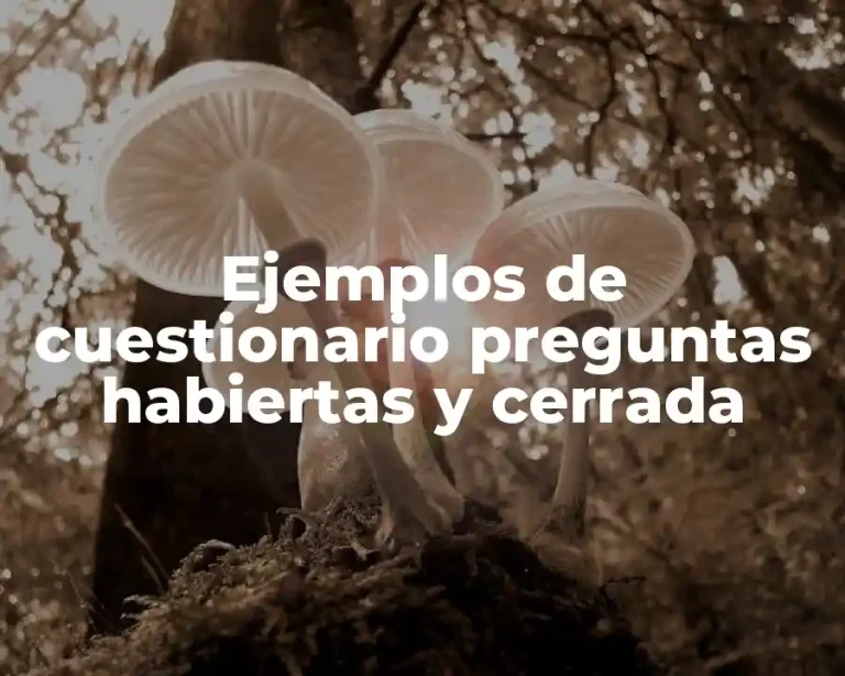 Ejemplos de cuestionario preguntas habiertas y cerrada