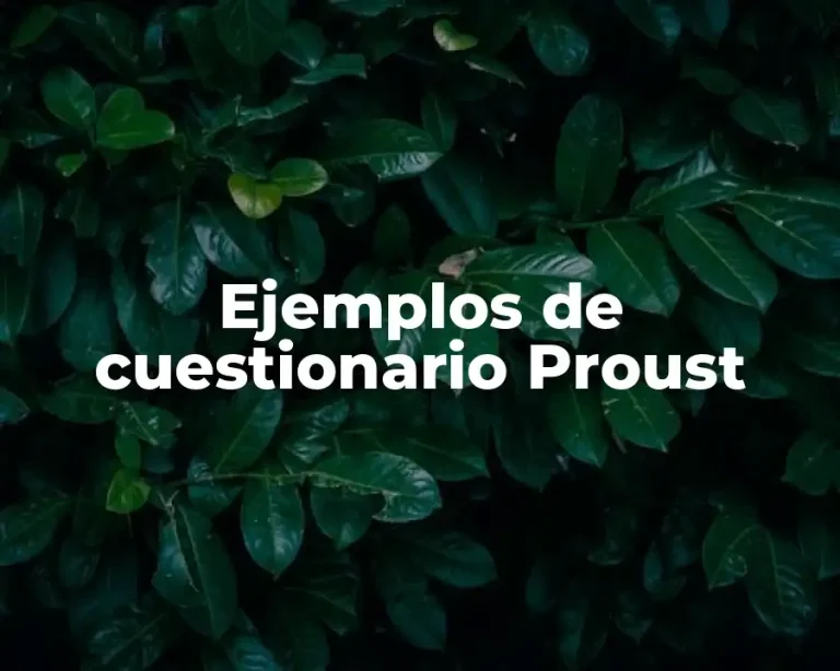 Ejemplos de cuestionario Proust