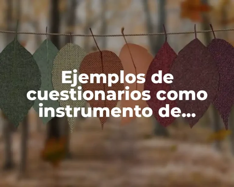 Ejemplos de cuestionarios como instrumento de valuación para tesis y Significado