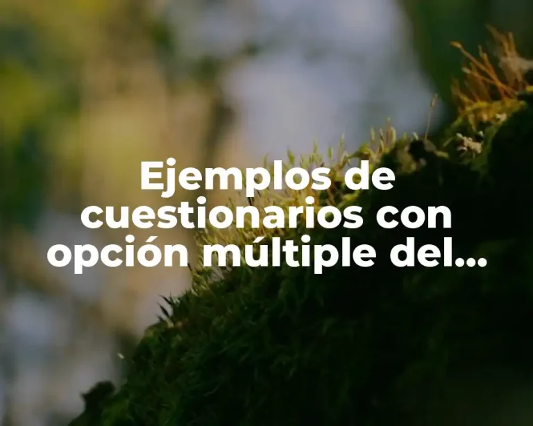 Ejemplos de cuestionarios con opción múltiple del autoestima