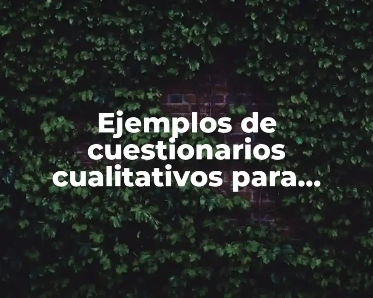 Ejemplos de cuestionarios cualitativos para empresa de publicidad