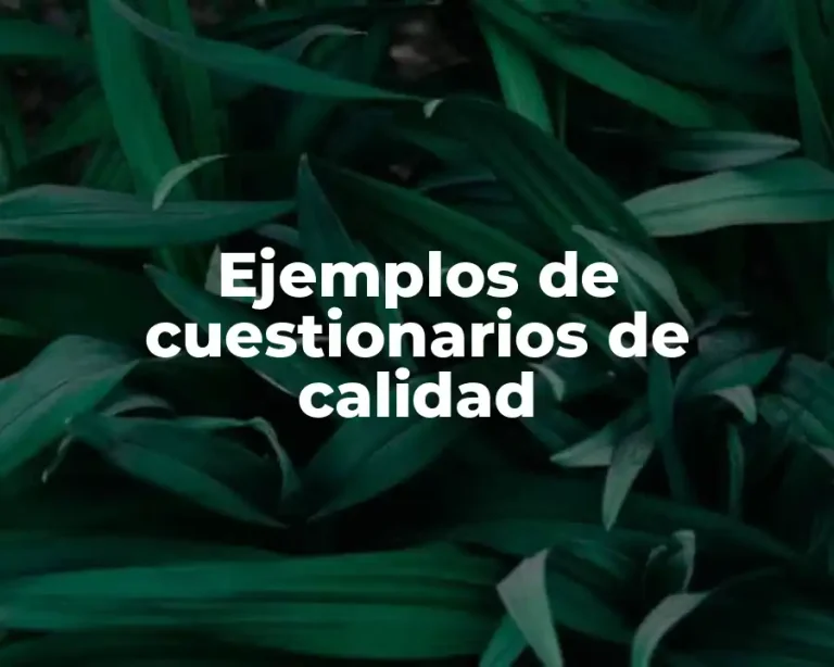 Ejemplos de cuestionarios de calidad