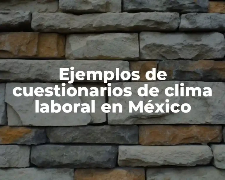Ejemplos de cuestionarios de clima laboral en México
