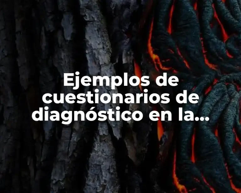 Ejemplos de cuestionarios de diagnóstico en la comunidad escolar