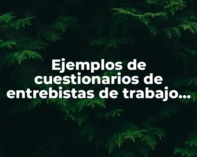 Ejemplos de cuestionarios de entrebistas de trabajo por competencias