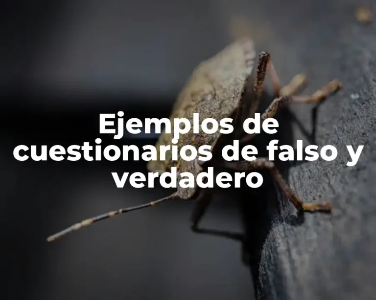 Ejemplos de cuestionarios de falso y verdadero