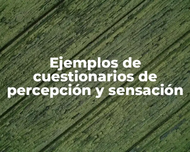 Ejemplos de cuestionarios de percepción y sensación