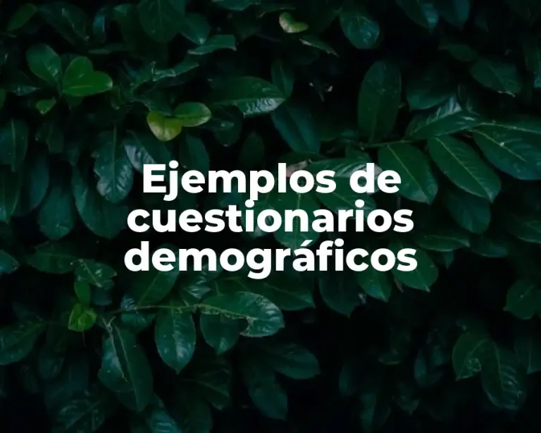 Ejemplos de cuestionarios demográficos