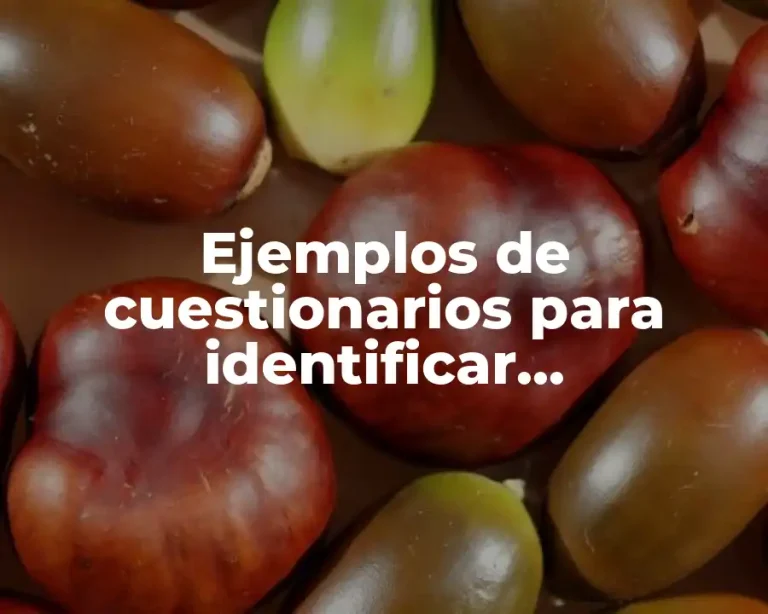 Ejemplos de cuestionarios para identificar infraestructura de la empresa