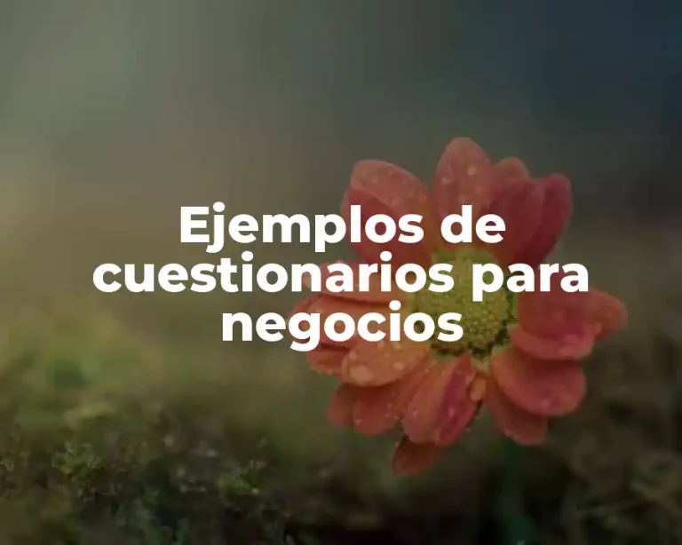 Ejemplos de cuestionarios para negocios