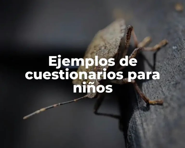 Ejemplos de cuestionarios para niños