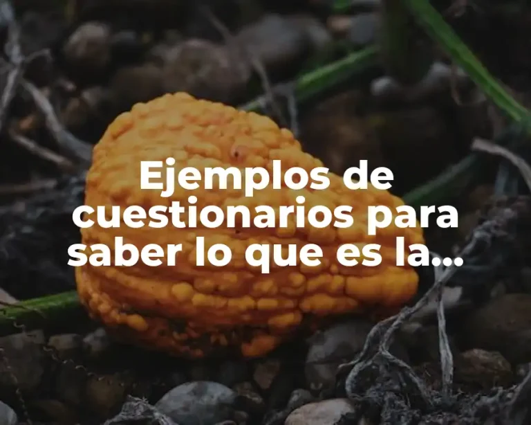 Ejemplos de cuestionarios para saber lo que es la investigación