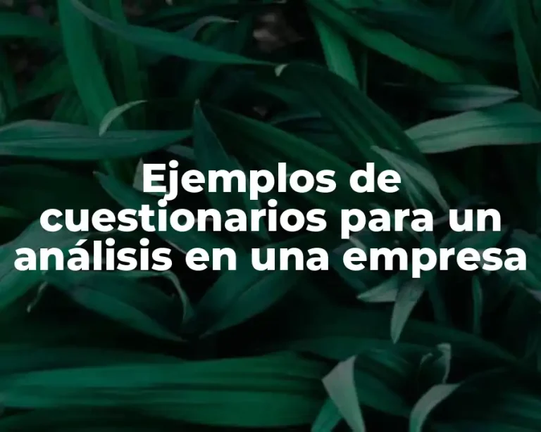 Ejemplos de cuestionarios para un análisis en una empresa