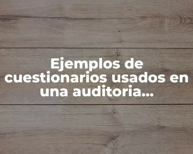Ejemplos de cuestionarios usados en una auditoria operacional y Significado