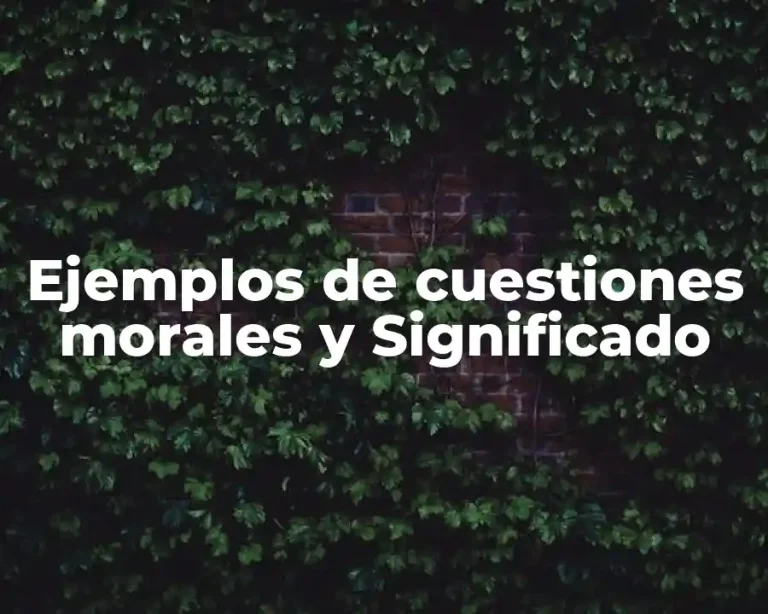 Ejemplos de cuestiones morales y Significado