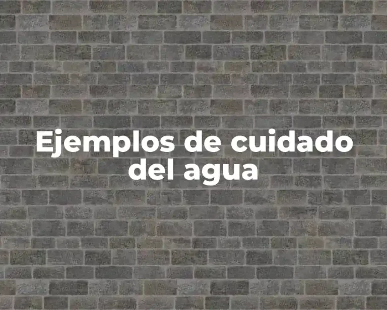 Ejemplos de cuidado del agua