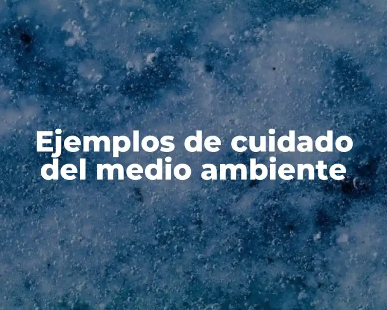 Ejemplos de cuidado del medio ambiente