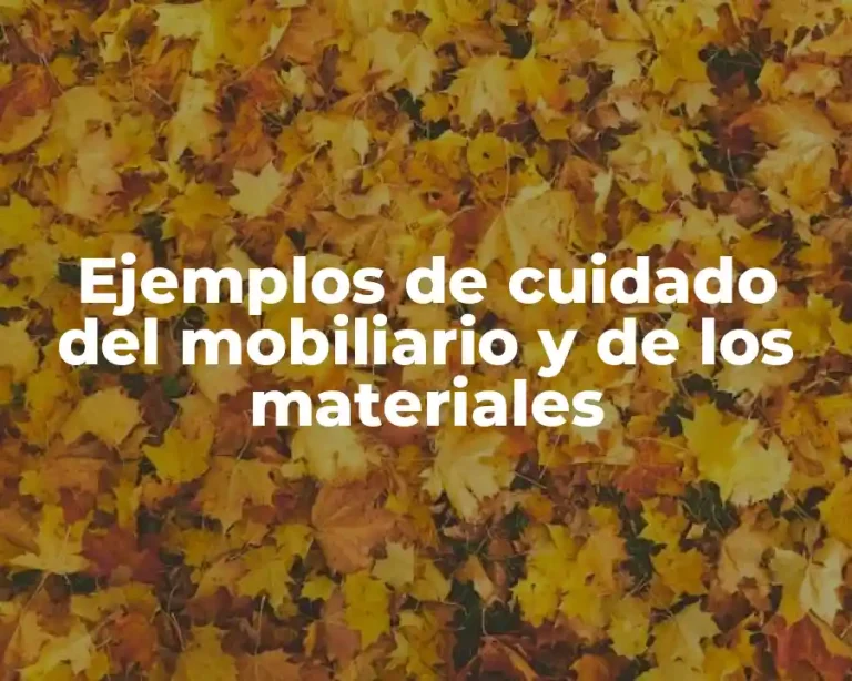 Ejemplos de cuidado del mobiliario y de los materiales