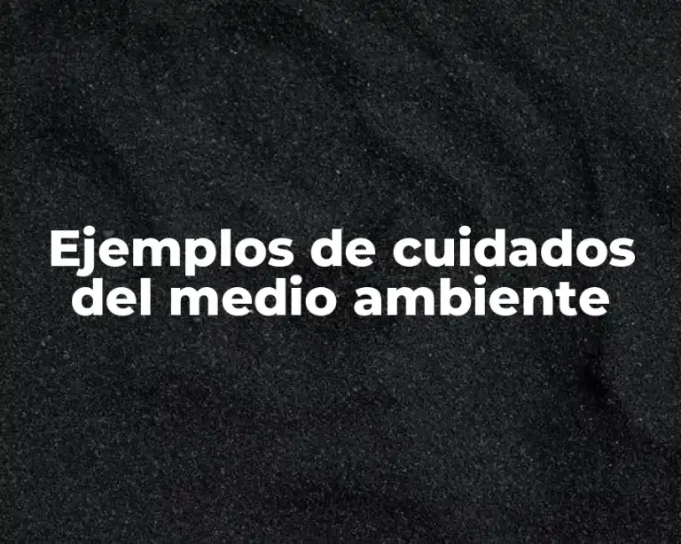 Ejemplos de cuidados del medio ambiente