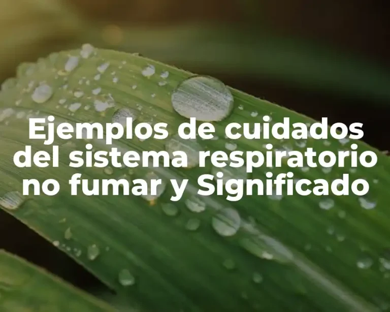 Ejemplos de cuidados del sistema respiratorio no fumar y Significado