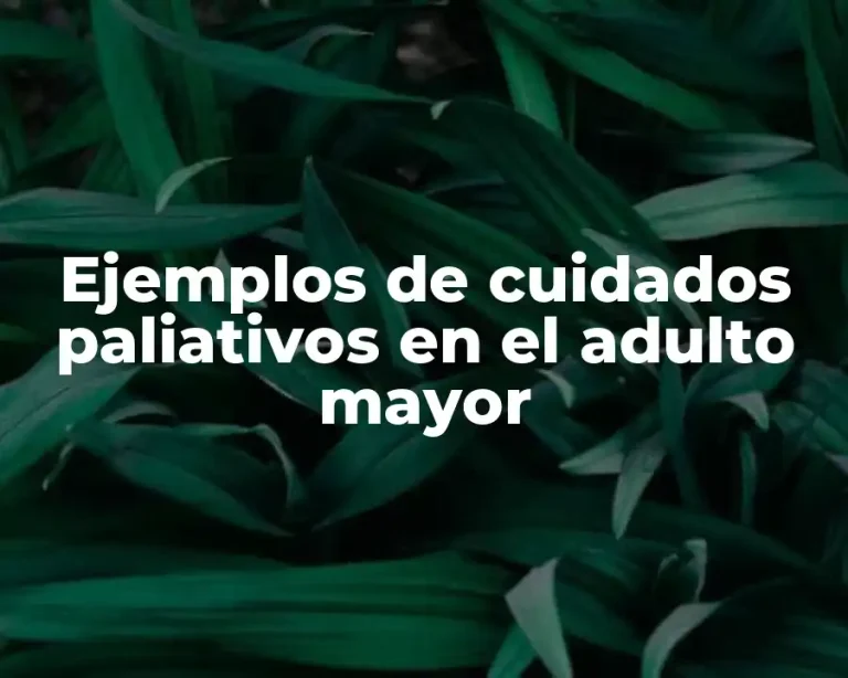 Ejemplos de cuidados paliativos en el adulto mayor