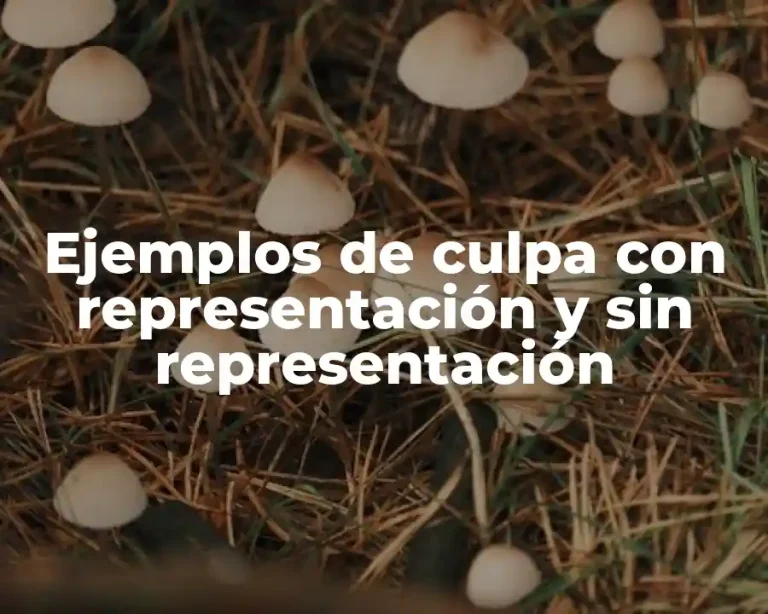 Ejemplos de culpa con representación y sin representación