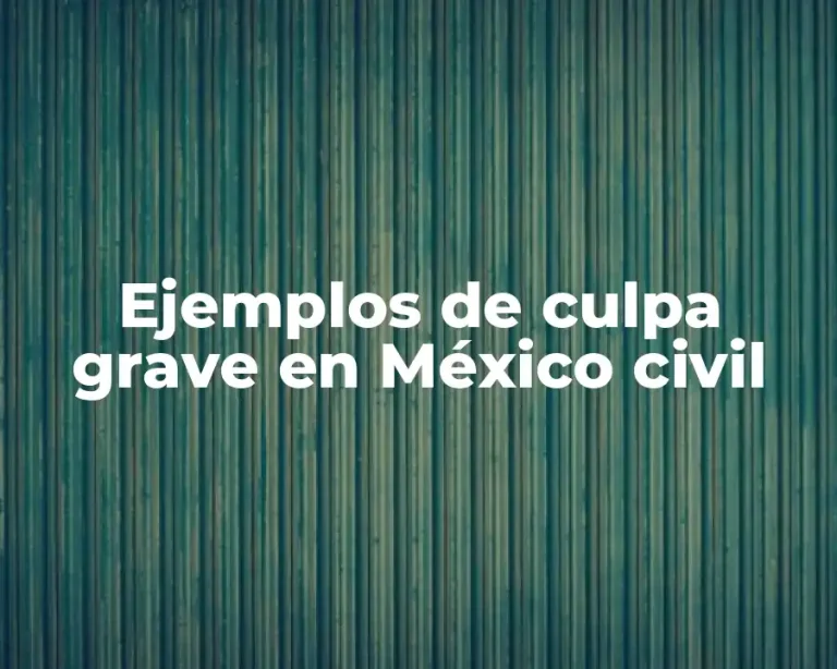 Ejemplos de culpa grave en México civil