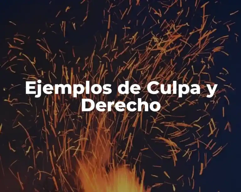 Ejemplos de Culpa y Derecho