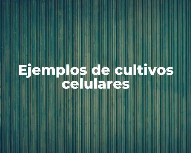 Ejemplos de cultivos celulares