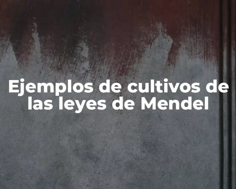 Ejemplos de cultivos de las leyes de Mendel