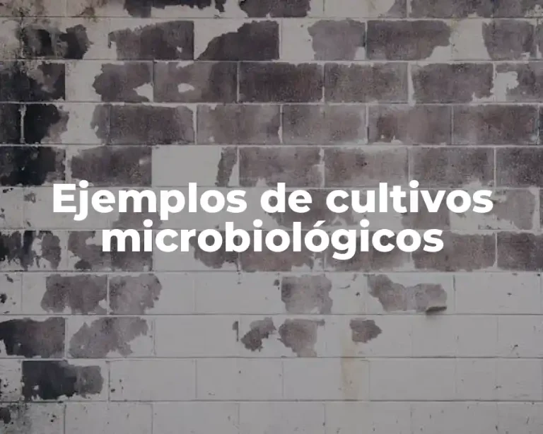 Ejemplos de cultivos microbiológicos