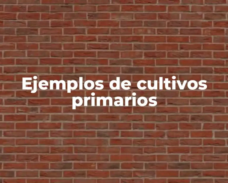 Ejemplos de cultivos primarios