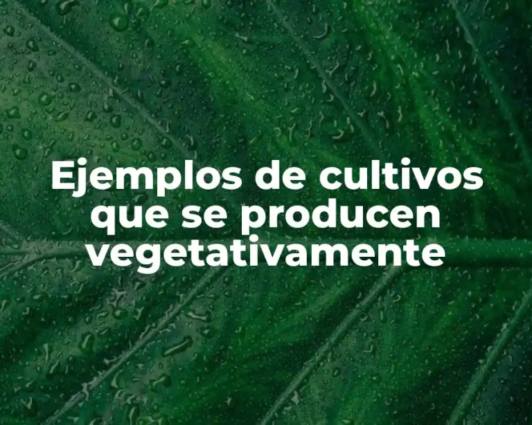 Ejemplos de cultivos que se producen vegetativamente
