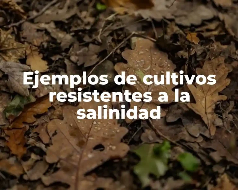 Ejemplos de cultivos resistentes a la salinidad